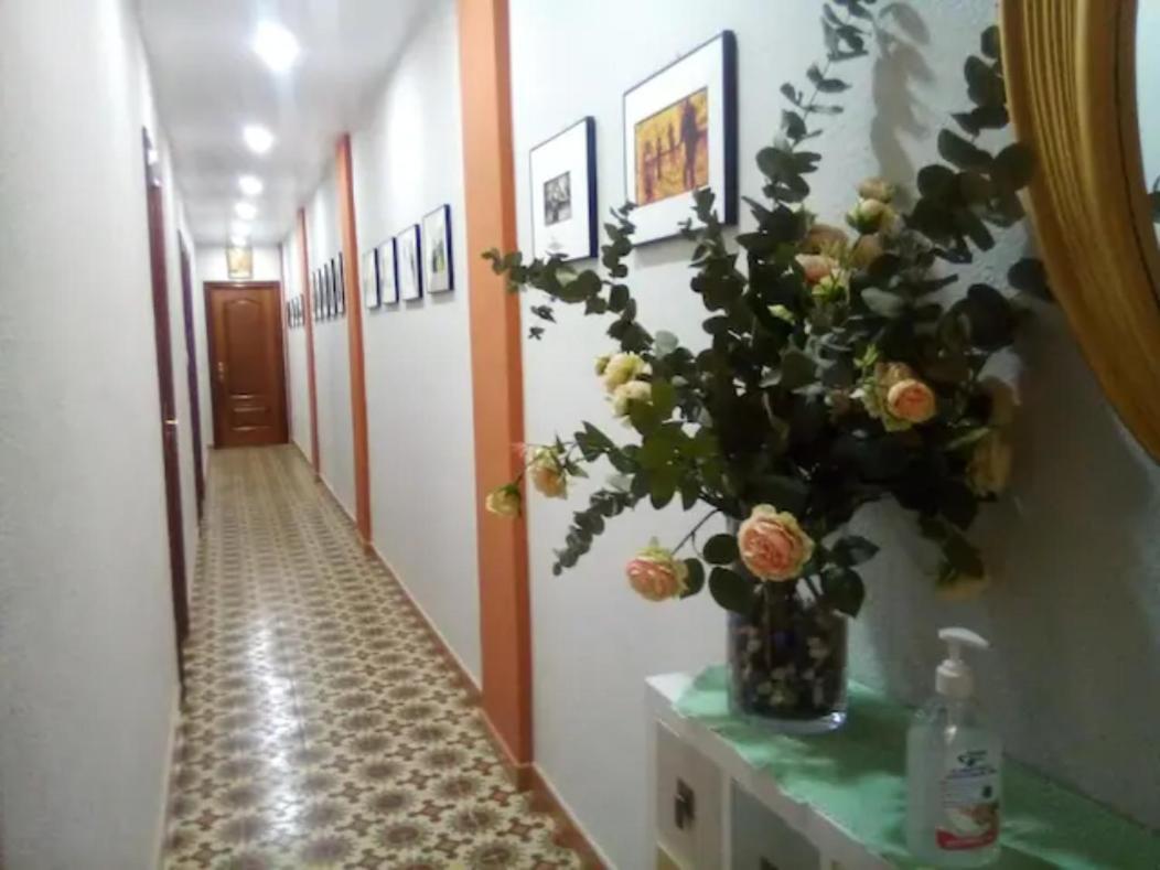 Las Golondrinas Zaragoza Σαραγόσα Εξωτερικό φωτογραφία